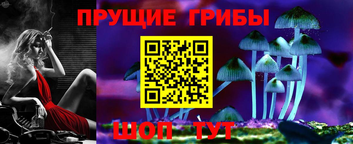 Псилоцибиновые грибы прущие грибы Мытищи