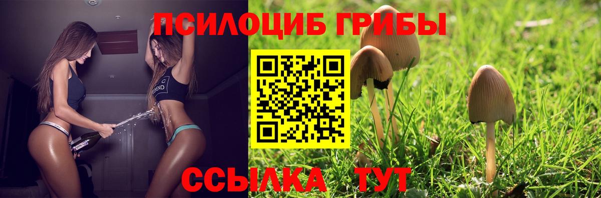 наркошоп  Псилоцибиновые грибы Cubensis  Мытищи  Вход с VPN  Галлюциногенные грибы Psilocybe 